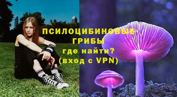 шишки Беломорск