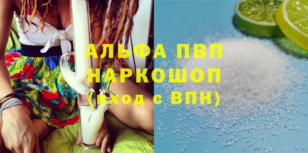 шишки Беломорск