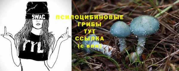 шишки Беломорск