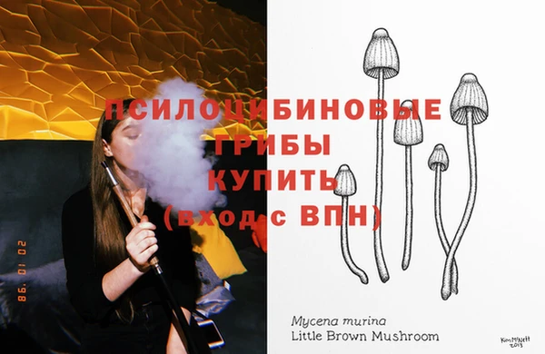 экстази Белокуриха