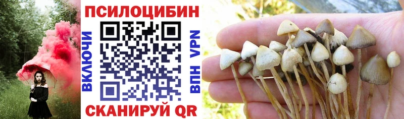 закладка  shop официальный сайт  OMG маркетплейс  Галлюциногенные грибы Cubensis  Торжок 